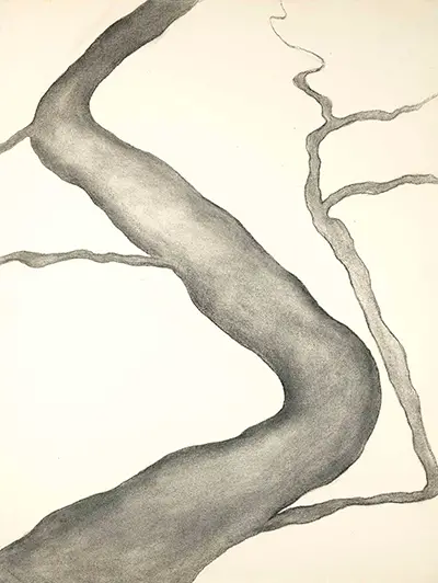 Drawing I Georgia O'Keeffe